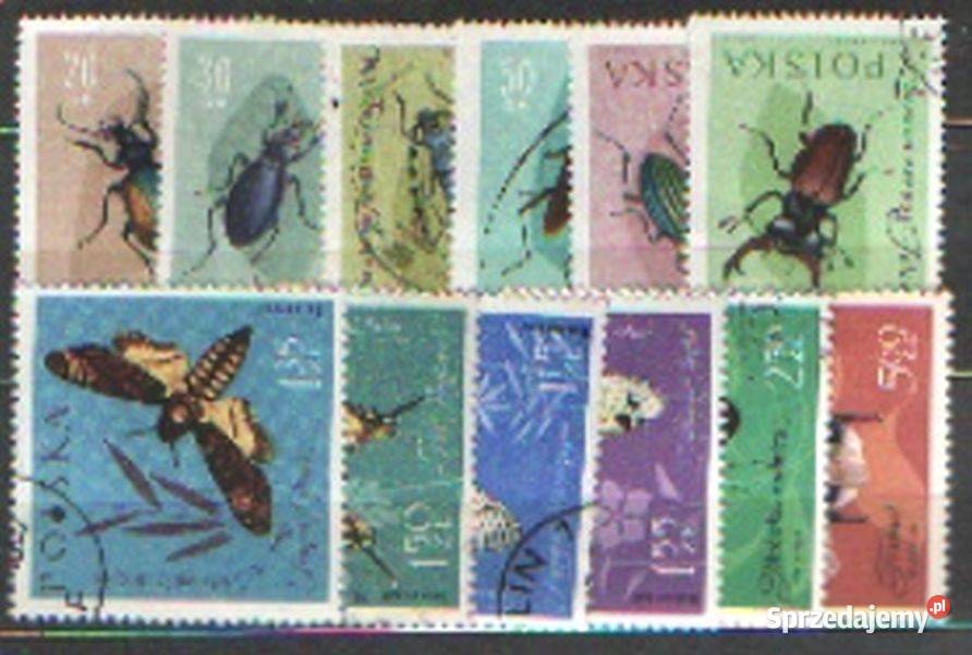 Fi 1132 43 kas 1961 Gliwice sprzedam