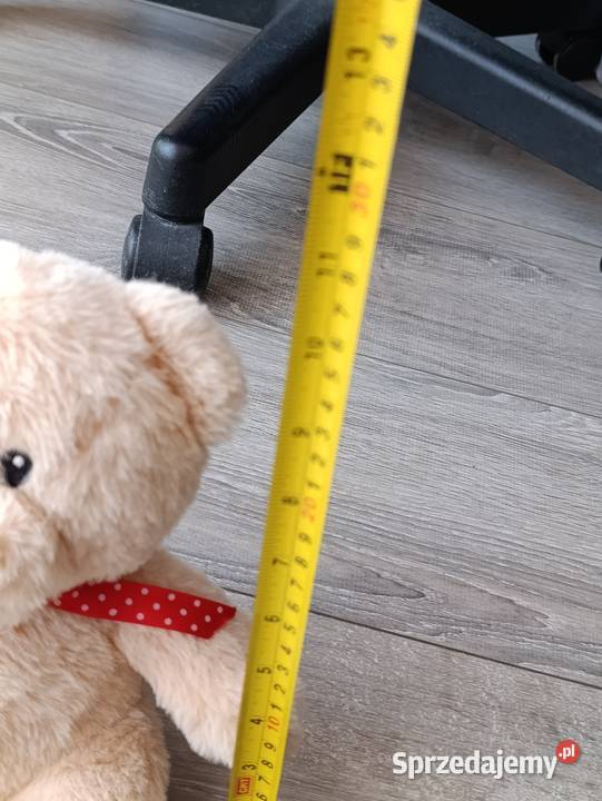 miś pluszak sprzedam wielkopolskie