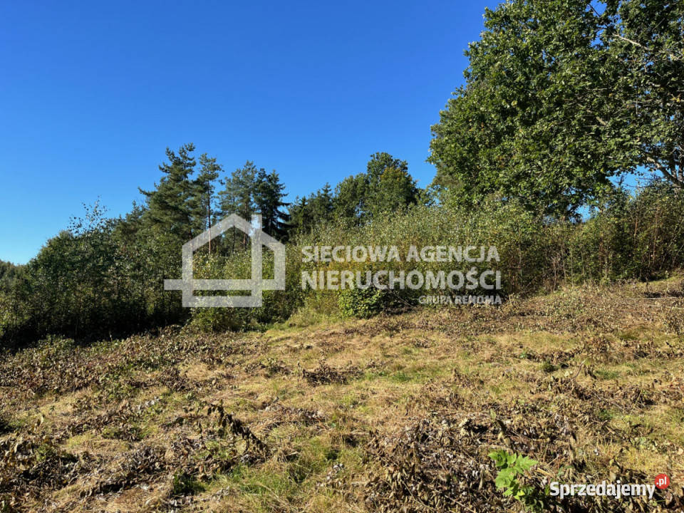 Działka 11494m2 Brodnica Górna 55zł/m2