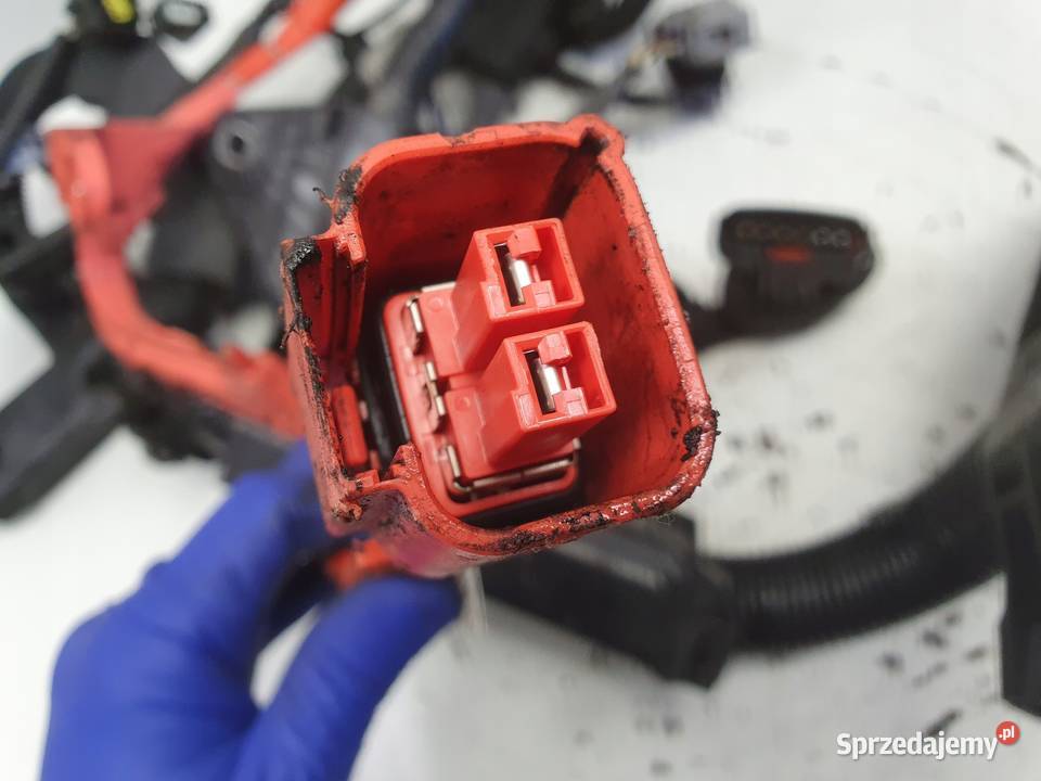 Toyota CHR CHR 18 Hybryda Automat WIĄZKA SILNIKA lubelskie Rudka