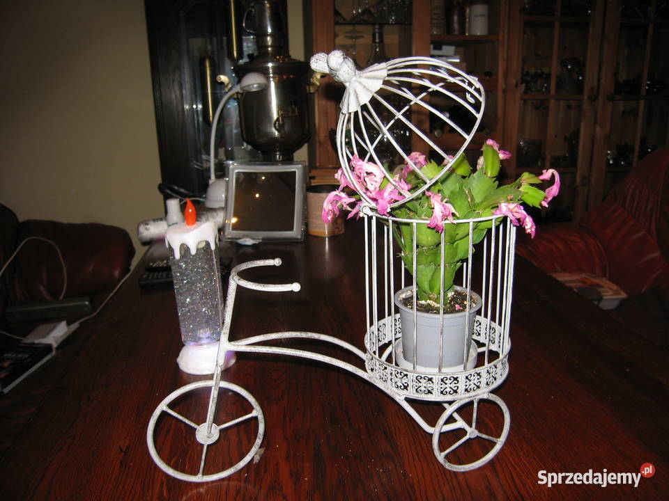 Dekoracja kwiatowa zachodniopomorskie