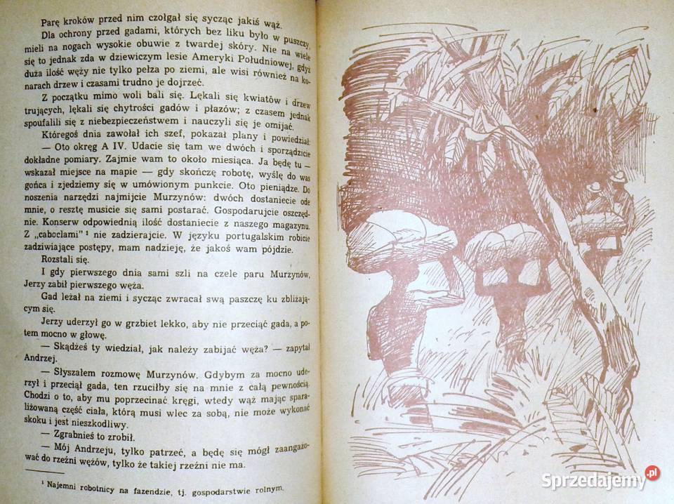 morza i dżungle Janusz Makarczyk miękka lubelskie Chełm