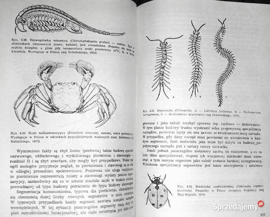Zoologia Tom 1 Część ogólna B Aleksander Rajski Pozostałe lubelskie Chełm sprzedam