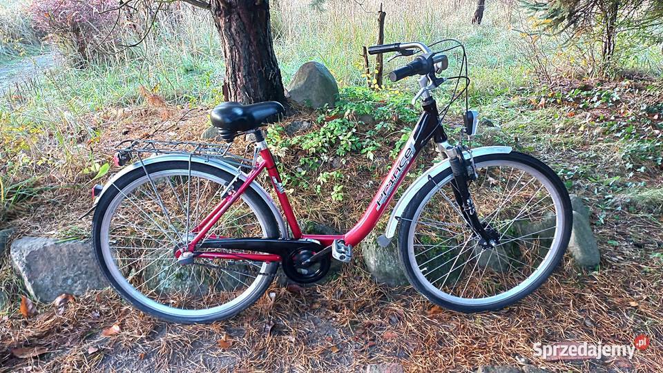 Alu Rower Miejski Damski Prince Damka Łabędź Wołów