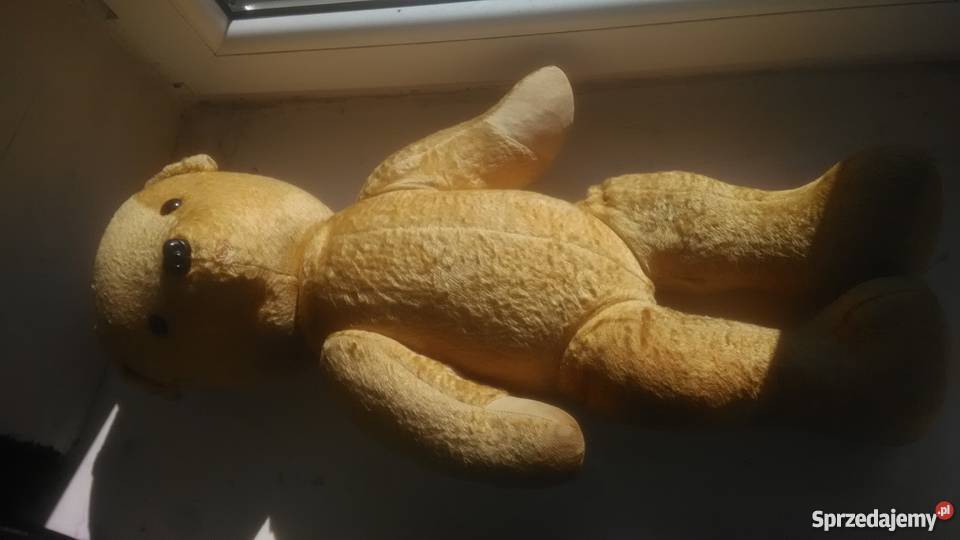 Mis trociniak PRL Częstochowa