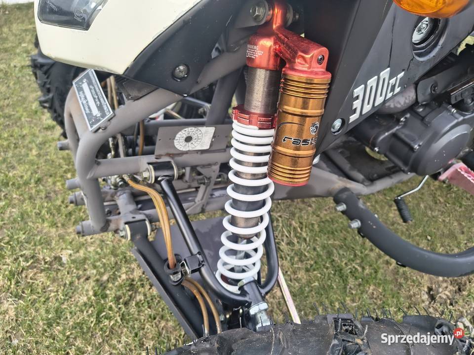 Bashan bs 300 Bashan Łużna