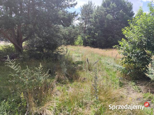Działkę sprzedam Nowe Załubice Opolska 1015m2