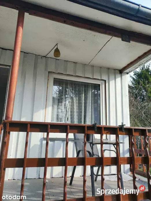 Działka ROD Łódź Zdrowie 410 m altana piwnica rekreacyjna