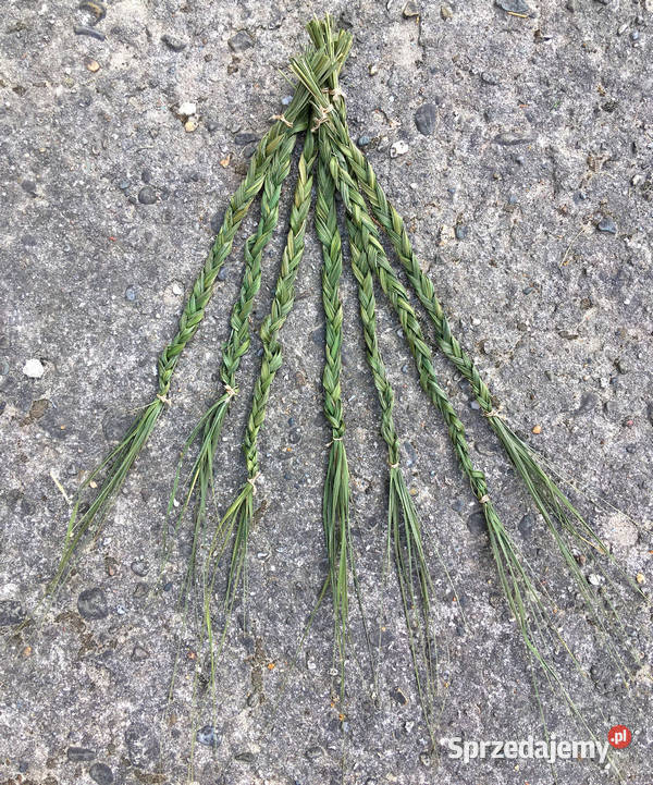 Turówka wonna żubrówka kadzidło warkocz Indianie Kraków