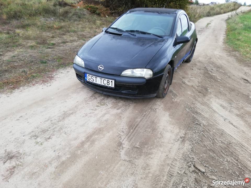 Opel Tigra Tanio Pinczyn