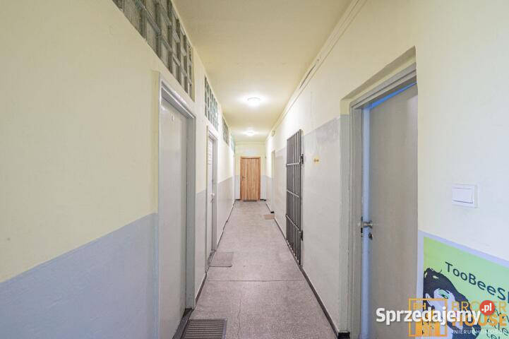 Lokal na sprzedaż 540m2 Opole Sprzedaż opolskie