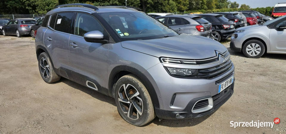 Citroen C5 Aircross 20 Hdi automat 100tysk 170 Pleszew