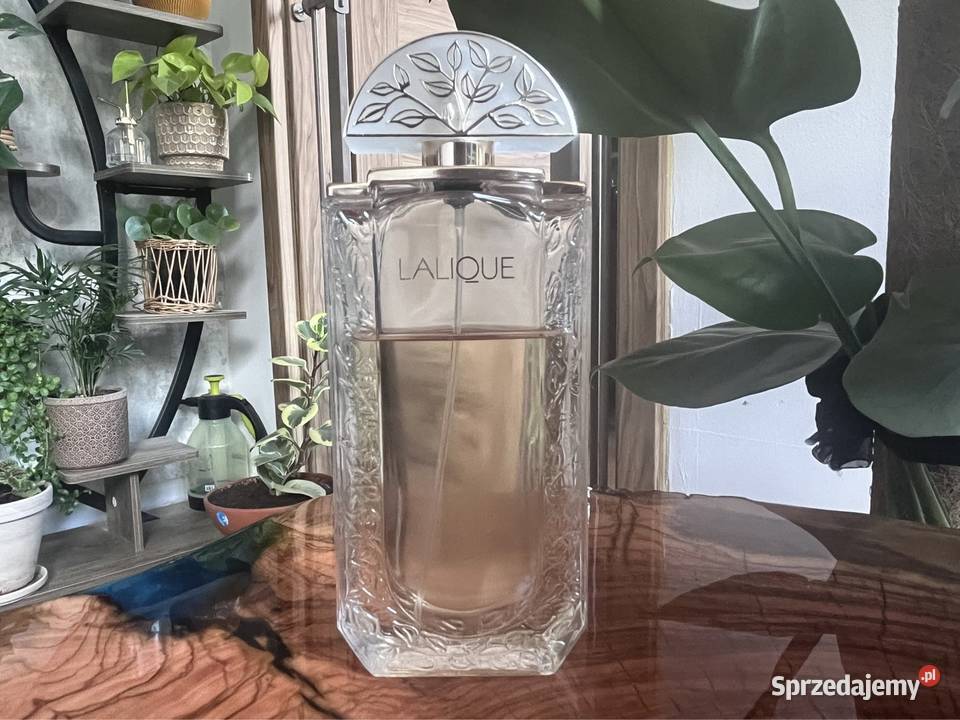Lalique Lalique EDP 80100ml