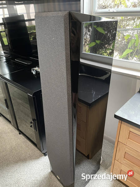 Legacy Audio Focus SE Floorstanding Speakers Torzym