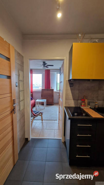 Ogłoszenie mieszkanie Kraków 231m2 1 pokój