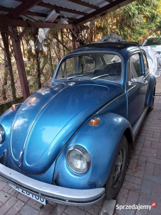 garbus piekny 54 letni Radomsko