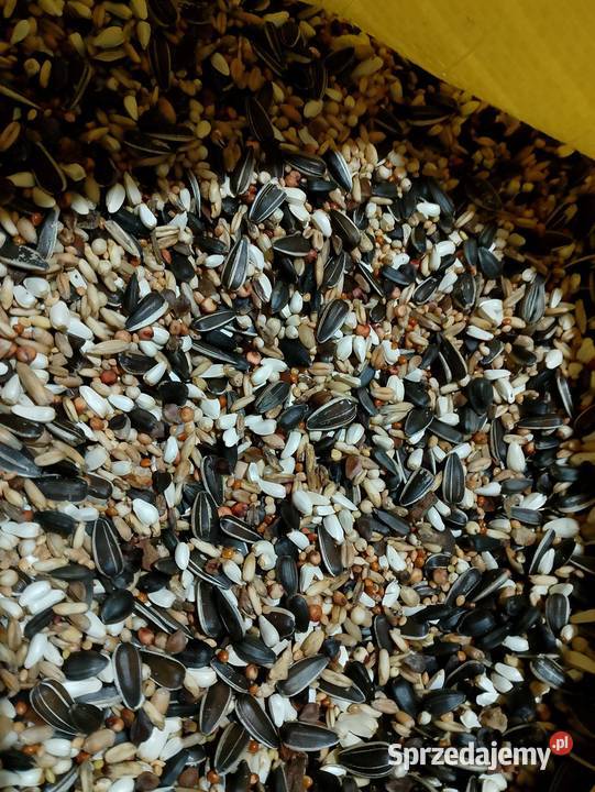 Karma papug kanarków gryzoni opolskie Strzeleczki