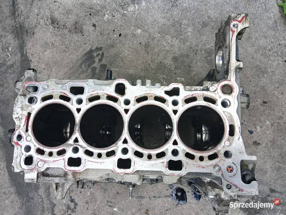 Blok silnika Opel 16 CDTI B16DTH Pozostałe Suchedniów