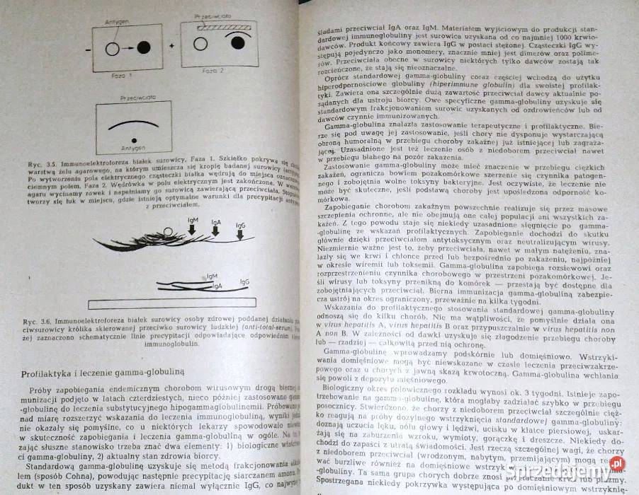Wykłady kliniczne z zakresu patofizjologii i Chełm