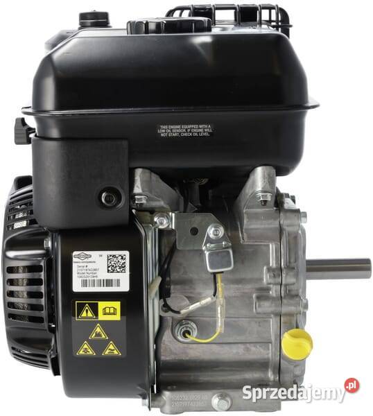 Silnik wał poziomy 1062320272F1 Kamionna