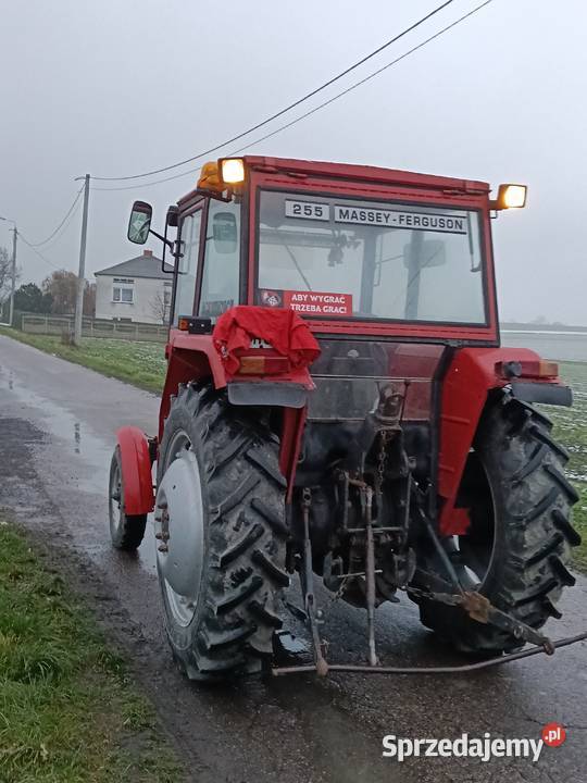 Massey Ferguson 255 Massey Ferguson Szczawin Kościelny