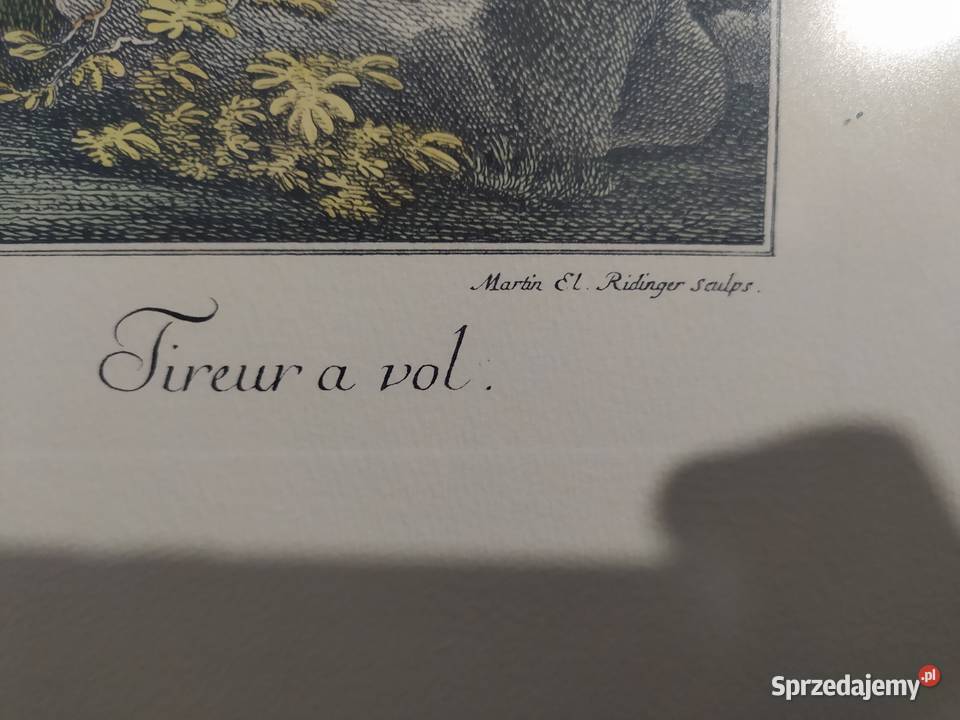 RIDINGER JE MIEDZIORYT GRAFIKA Siechnice