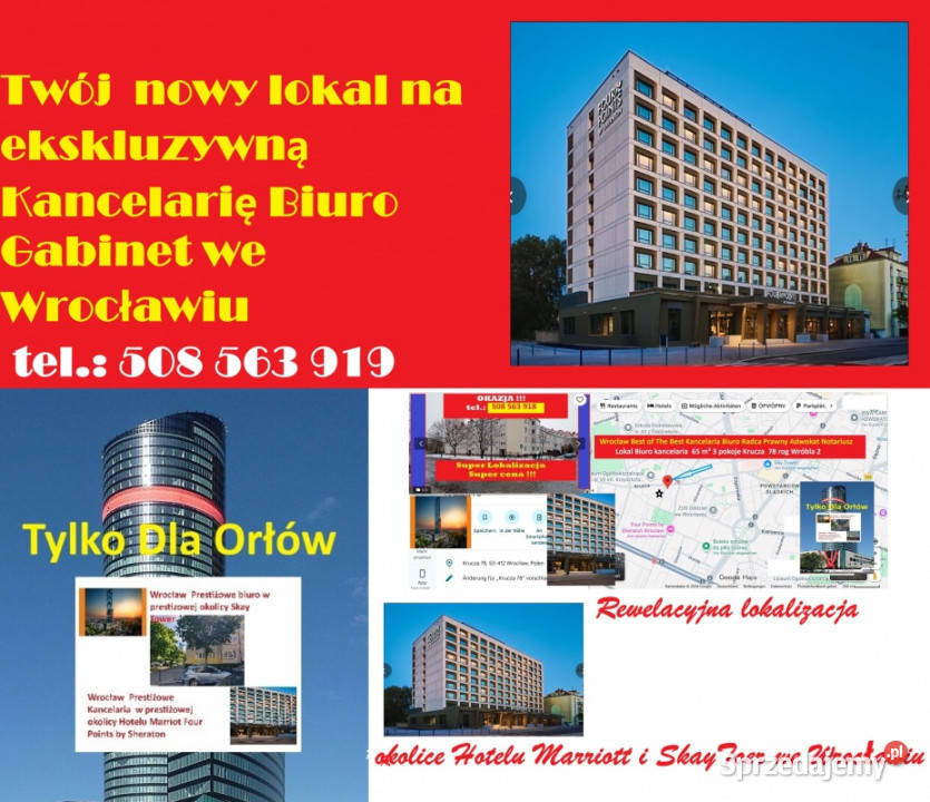Wrocław Steinhard InterConti Group sprzeda internet Sprzedaż