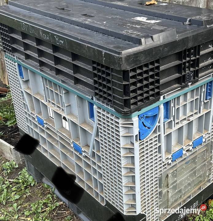 Skrzynio Paleta Ruś