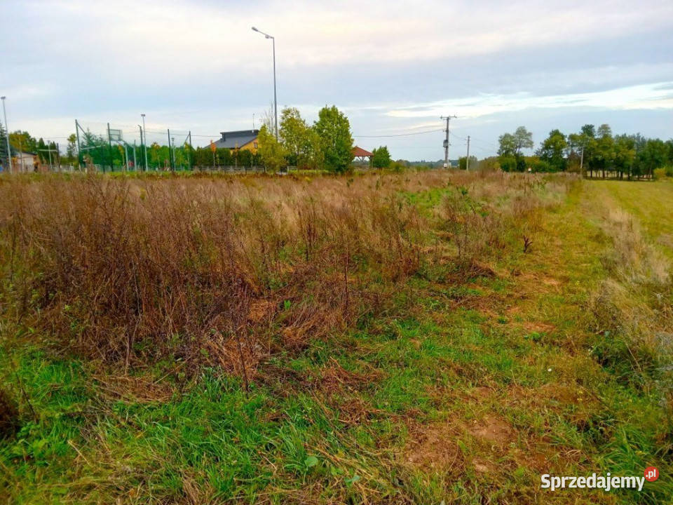 Działka Zaborze 3000m2 58zł/m2