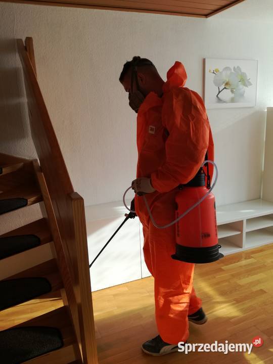 Dezynsekcja Pluskwy Certyfikowany Poziom Wyższy Katowice