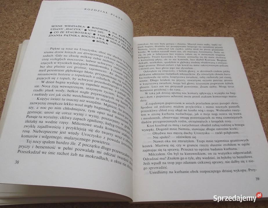 L Pan Samochodzik i święty relikwiarz Nienacki