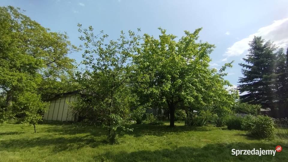 Działka ROD Łódź Dąbrowa rekreacyjna