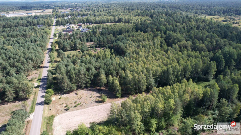 Grunt Andrzejówka 4100m2 Sprzedaż