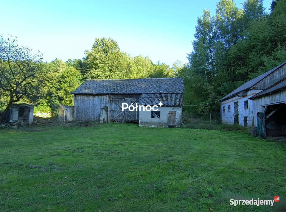 Siedlisko lesie w Skomorochach Dużych do remontu sprzedam