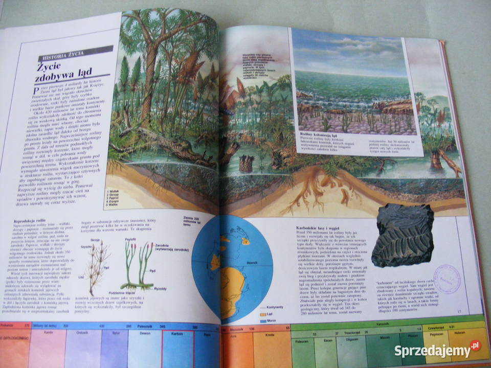 Dinozaury i inne stworzenia Atlas świata Oborniki Śląskie sprzedam