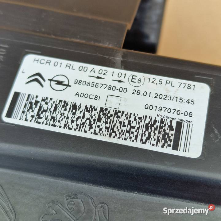 OPEL VIVARO CITROEN JUMPY 3 III ZAFIRA D osobowe Bieleń