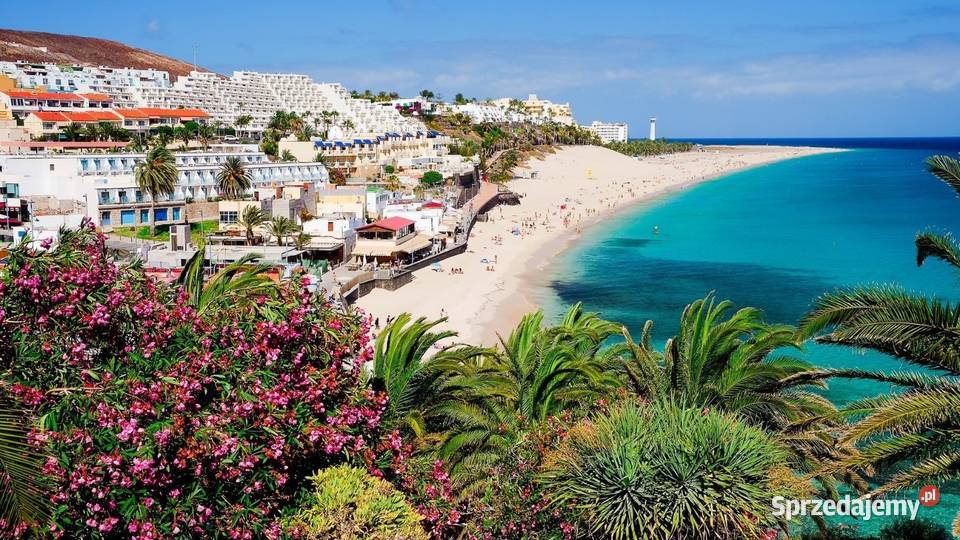 Fuerteventura Wyspy Kanaryjskie Polska wieś w Żebry-Laskowiec