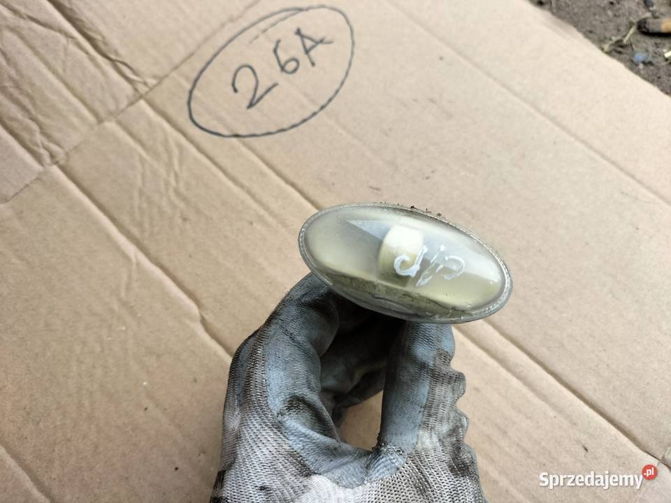 citroen peugeot KIERUNKOWSKAZ BŁOTNIKA Kamień-Kolonia