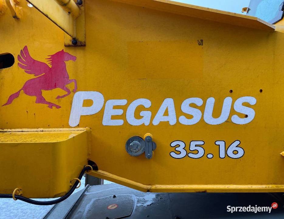 Ladowarka teleskopowa DECI Pegasus Warszawa