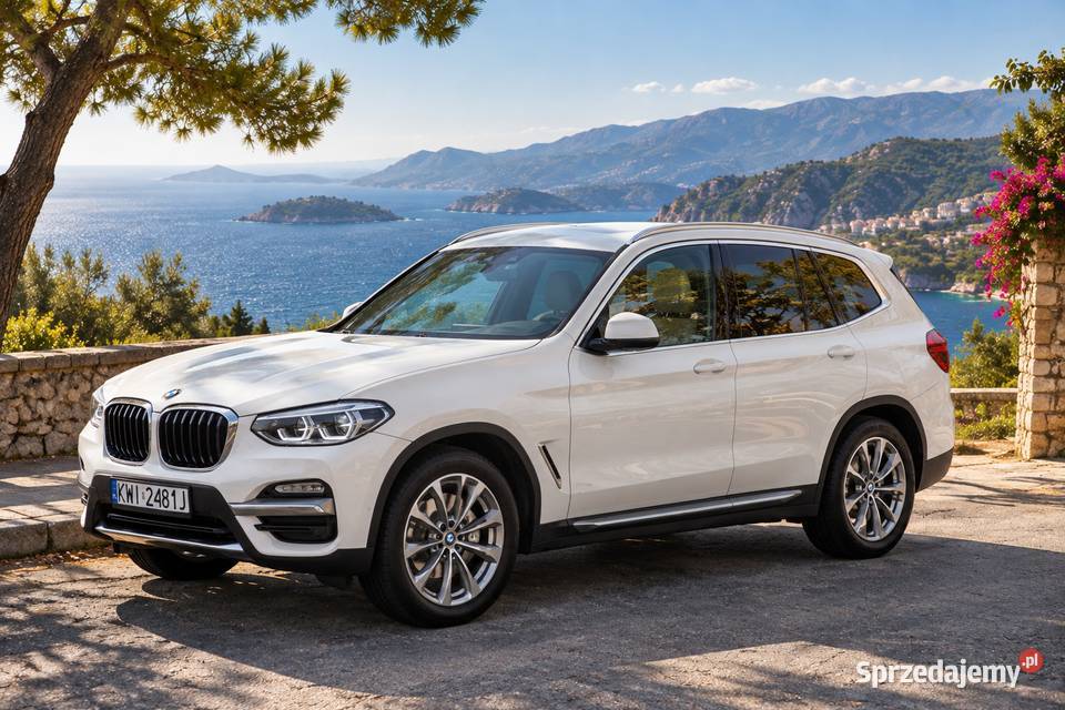 BMW X3 xDrive30i 252 Luxury Line 2019 75 300 Niepołomice sprzedam