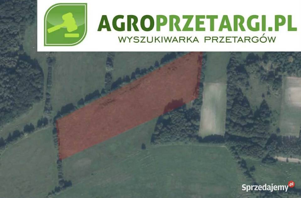 Dzierżawa 1146 ha gruntu rolnego 114600m2 Trzcianka