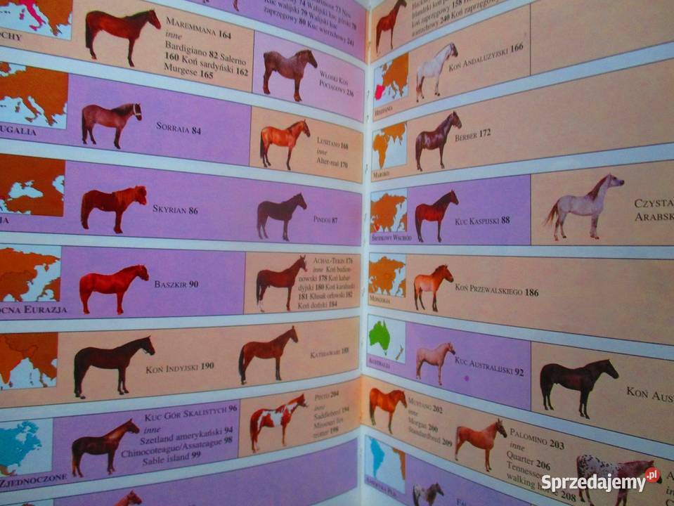 KONIEIlustrowany przewodnik Edwards konie rasy