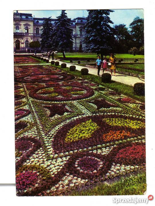 CIECHOCINEK DYWAN KWIATOWY POCZTÓWKA świętokrzyskie Krynki