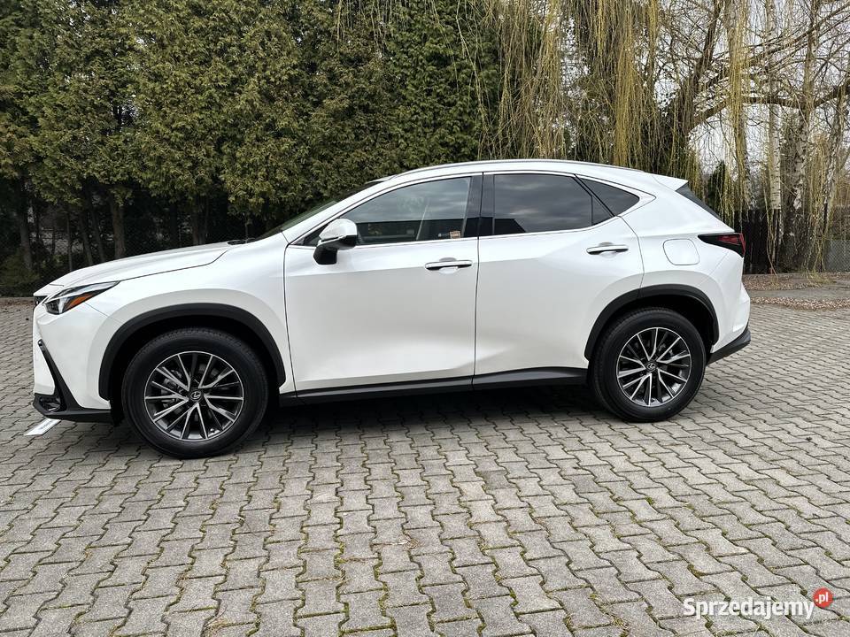 Lexus NX 350h 4x4 business edition wynajem z Warszawa