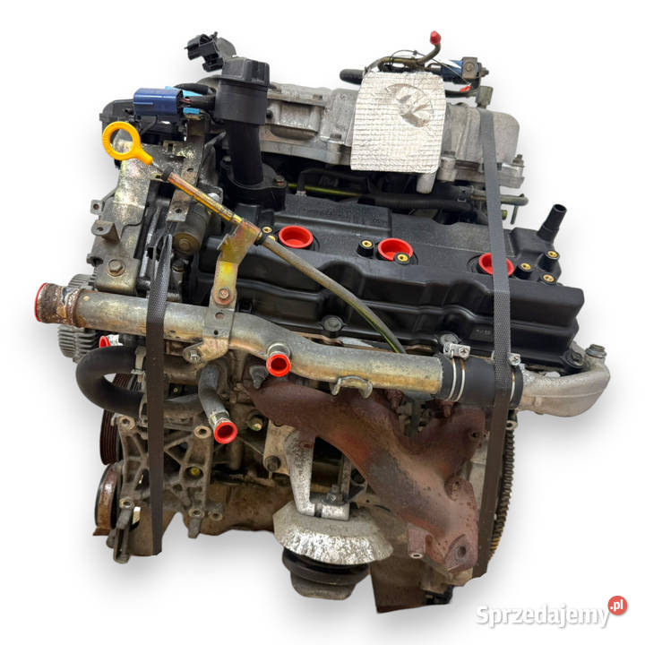 SILNIK VQ35 VQ35DE Nissan Elgrand Murano Z50 35 lubelskie Chełm sprzedam