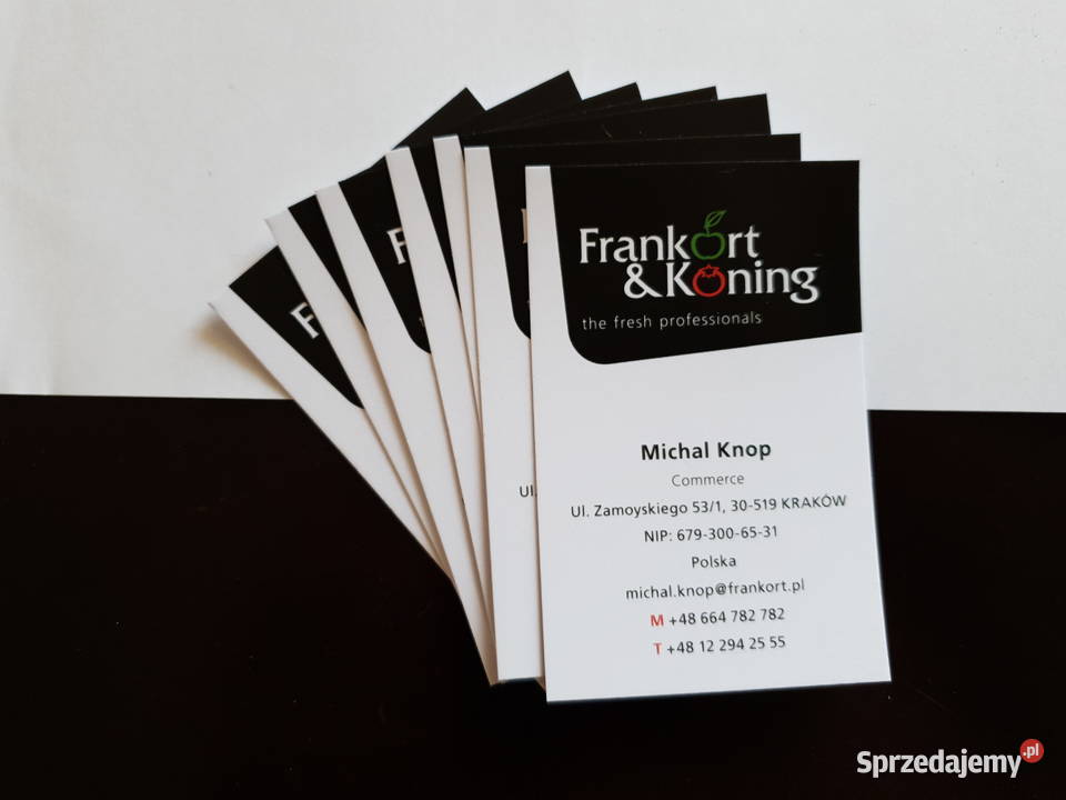 Wizytówki firmowe 24h druk tego samego dnia małopolskie sprzedam