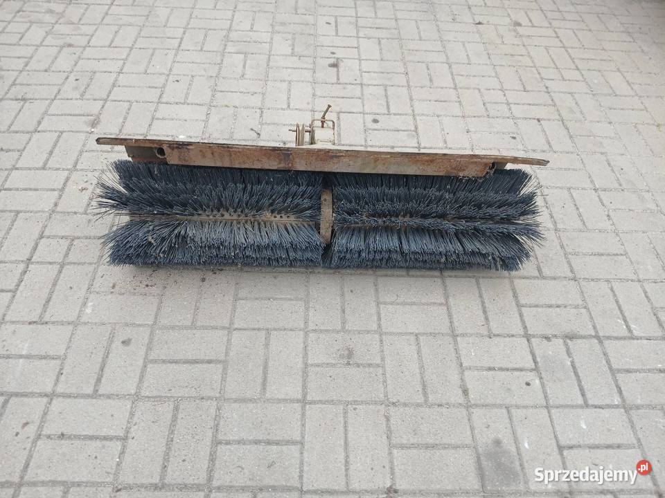Zamiatarka dolnośląskie