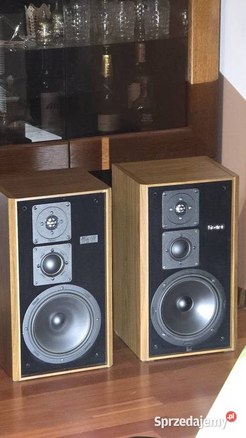 Kolumny Magnat Msp 60
