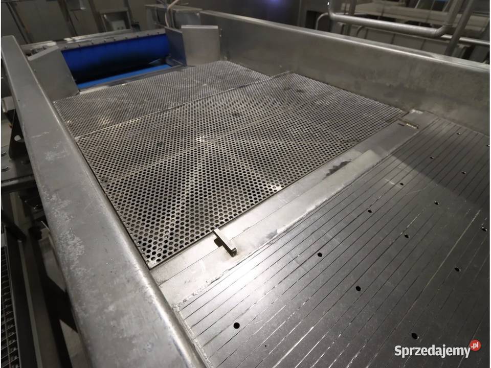 Odenberg Alpha Maszyna do gradowania ziemniaków Produkcja Krotoszyn