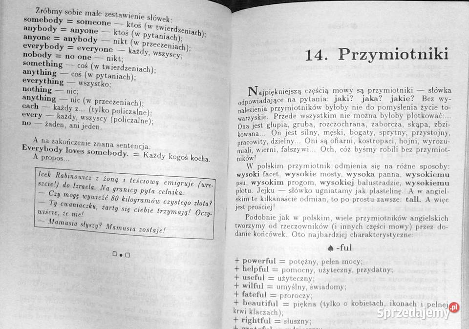 Angielska gramatyka na wesoło Walt Waren Książki i Podręczniki Chełm sprzedam